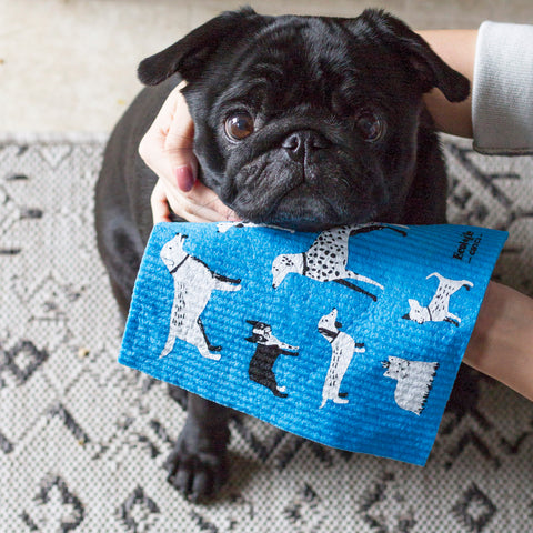 Swedish Sponge Cloth with Dog Days design used to wipe a dog's fur