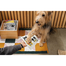 Load image into Gallery viewer, Meow &amp; Furever Swedish Dishcloth
